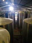 stainless steel fermenters